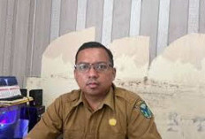 Target PAD dari PPB Masih Rendah
