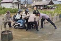 ​Banjir Rob Lumpuhkan Akses Utama dan Jalur Pelabuhan Roro Kuala Tungkal