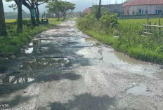 Jalan Rusak Tak Kunjung Diperbaiki 