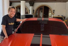 Sule Jual Koleksi Mobil Mewah