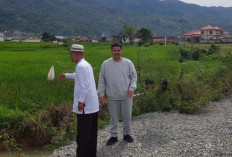 SAH Bangga Era Prabowo Produksi Beras dan Jagung Tertinggi Sepanjang Sejarah