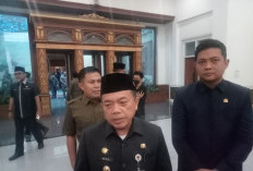 Pemprov Jambi Siap Kawal Proyek Strategis Nasional Pelabuhan Peti Kemas Muaro Jambi