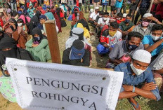 Kasal Selidiki Status Pengungsi Rohingya 