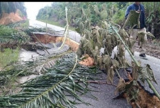 Akses Jalan Ness di Desa Petajen Putus  Warga Minta Segera Diperbaiki