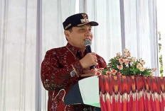 243 CPNS Sarolangun untuk Formasi Nakes dan Tenaga Teknis, Pelaksanaan Tes Kemungkinan di Kota Jambi