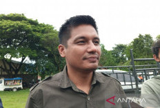 Bawaslu Intensifkan Pengawasan Pemutakhiran Data Parpol