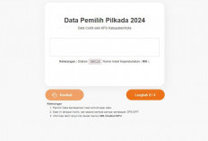 Begini Cara Cek DPT Online Pilkada 2024 dan Syarat Jadi Pemilih, Yuk Simak!