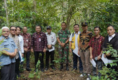 Sekda Muaro Jambi Tinjau Lokasi Pembangunan Sekolah Rakyat