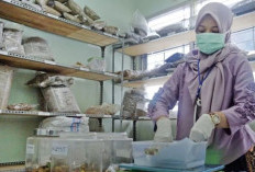 Ekspor Obat-Obatan Indonesia Naik 8,78 Persen