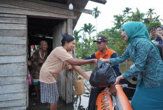 Faradila Bachyuni, Ketua TP PKK Muaro Jambi Beri Bantuan Korban Banjir 