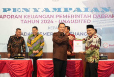 Bupati Muaro Jambi BBS Sampaikan LKPD Tahun 2024 ke BPK RI Perwakilan Jambi 