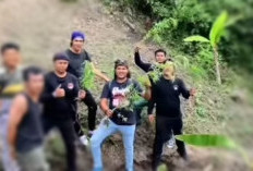 Polres Kerinci Temukan Ladang Ganja 
