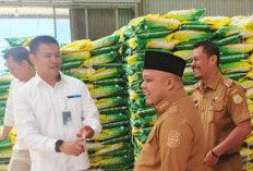 Bantuan Pangan Diberikan Bertahap, Di Tanjab Timur Melalui Bulog