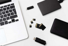 Langkah Digital Decluttering Jika Laptop Lemot dan HP Penuh