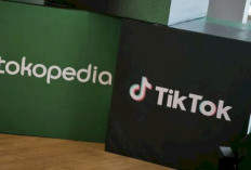 Tokopedia TikTok Shop Resmi PHK Karyawan