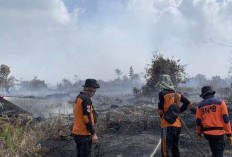 60 Persen Bencana Didominasi Karhutla