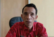 Jelang Idul Adha Stok Hewan Kurban di Sarolangun Aman 