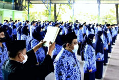 Wajib Penuhi 37,5 Jam dalam Seminggu, Ketidakhadiran Bisa Berujung Pemecatan