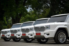Wamenperin Ajak Suzuki Dukung Proyek Mobil Nasional Gagasan Presiden Prabowo