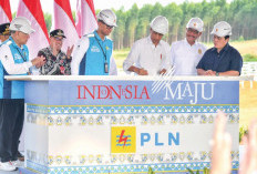Presiden Jokowi Groundbreaking Pembangunan PLTS PLN 50 MW di IKN Nusantara