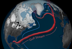 Ilmuwan Desak Nordik Tindak Lanjut Ancaman Keruntuhan AMOC Bisa Picu Kekacauan Iklim