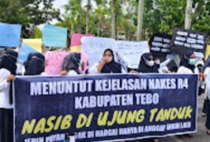  Tuntut Kejelasan Status PPPK, TKS Unjuk Rasa di Gedung DPRD Kabupaten Tebo