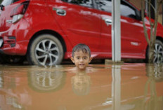  Ribuan Rumah di Muarojambi Terendam  Banjir, TMA 15,06 Meter, Berada di Atas Elevasi Siaga I