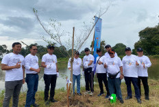 Tanam 330 Pohon di Danau Kenali