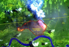 Kebakaran di Rantau Panjang Muaro Jambi Meluas, Citra Satelit KKI Warsi Ungkap Luasnya Mencapai 927 Hektar!