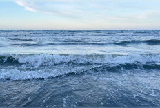 BMKG Peringatkan Gelombang Laut hingga 4 Meter, Waspadai Risiko bagi Nelayan dan Pelayaran