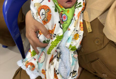 Polisi Selidiki Penemuan Bayi di Kecamatan Siulak Mukai