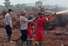 Sudah 300 Hektare Terbakar, DLH Muaojambi Sebut Kualitas Udara Masih Sangat Baik