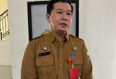 572 PPPK Tahap II Lulus Seleksi, Formasi Guru DAN Teknis Paling Banyak Diterima