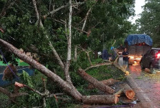  Ancaman Hujan Deras dan Angin Kencang, BPDB : Masih Terjadi hingga Akhir Mei