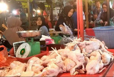 Inflasi Provinsi Jambi Naik Lagi, Kerinci Catat Angka Tertinggi 