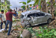 Mobil Masuk Jurang, Bocah Selamat dari Maut, Kecelakaan Tunggal Diduga Akibat Rem Blong 