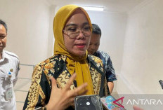 Partisipasi Pemilih pada PSU Turun