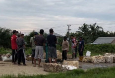 Harga Karet Bungo Naik Jelang Lebaran 