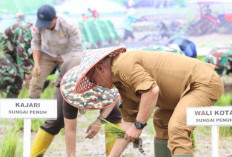 Alfin Hadiri Gerakan Serempak Percepatan Tanam