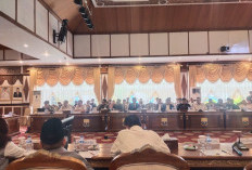 Wawako Diza Dorong Job Fair Inklusif  Bagi Penyandang Disabilitas