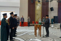  Direksi Baru PT Siginjai Sakti Dilantik, Maulana Tekankan Kemandirian BUMD