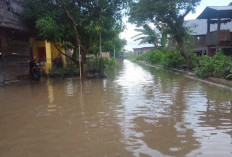 7 Kecamatan di Tanjab Timur Rawan Bencana Banjir Rob