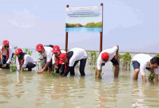 Tanam Ribuan Pohon, AHM Perkuat Upaya Penyerapan Karbon untuk Mitigasi Perubahan Iklim