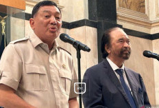 Ketum Nasdem Akui Dapatkan Vitamin Setelah Bertemu Menhan