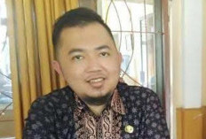 Gaji PPPK Paruh Waktu Disesuaikan Kemampuan Daerah