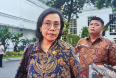 Menkeu Sebut Danantara Bisa Berkolaborasi dengan NDB