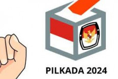 Rincian Gaji dan Tugas Anggota KPPS Pilkada 2024, Ingin Tahu?