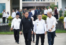 Menteri Lingkungan Hidup Puji Komitmen Pemprov Tangani Karhutla di Provinsi Jambi