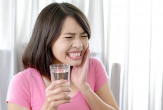 Obat Herbal Ampuh Atasi Sakit Gigi
