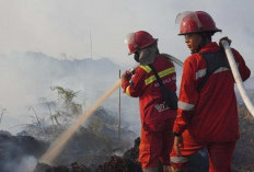 282 Titik dari Januari hingga Juli, Hotspot di Jambi Terus Bertambah
